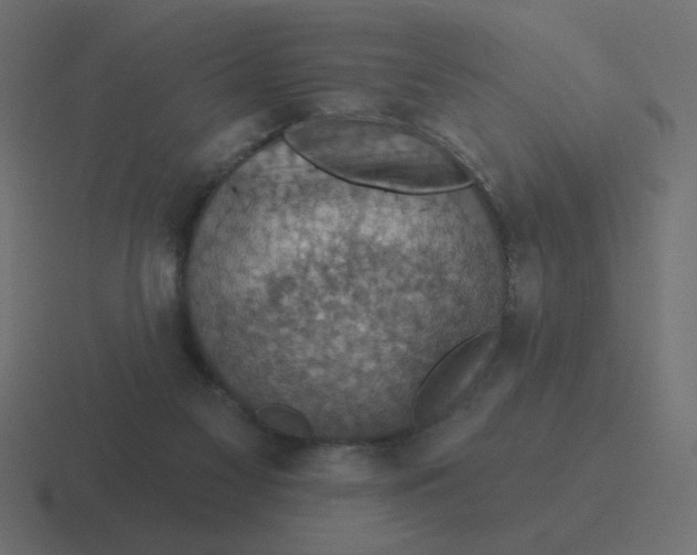 X0000116490117200912292113