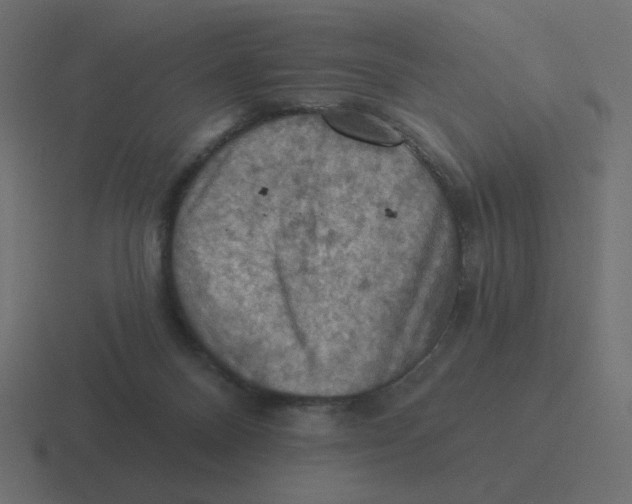 X0000116490120200912292113