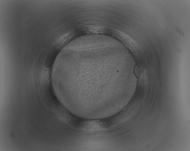 X0000116490121200912292113