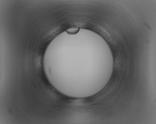 X0000116490122200912292113