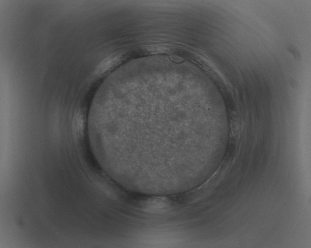 X0000116490124200912292113