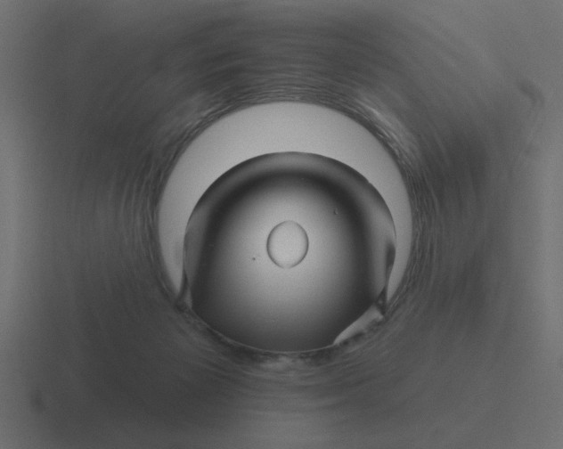 X0000116490125200912292113