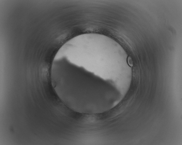 X0000116490127200912292113