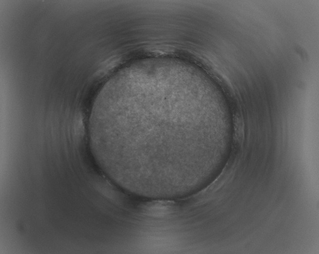 X0000116490128200912292113