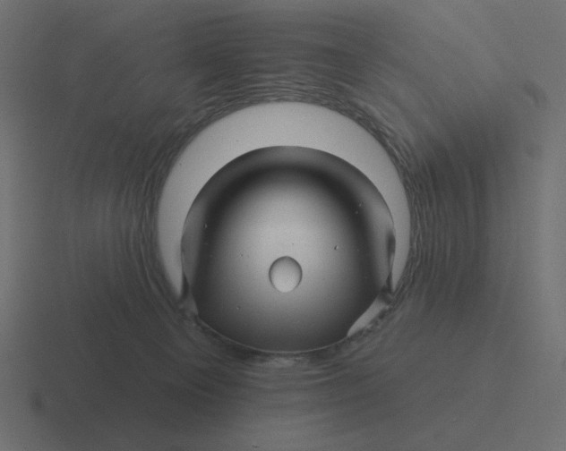 X0000116490129200912292113