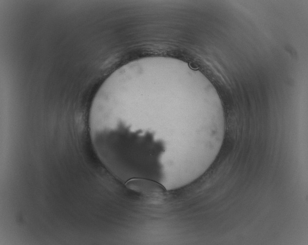 X0000116490131200912292113