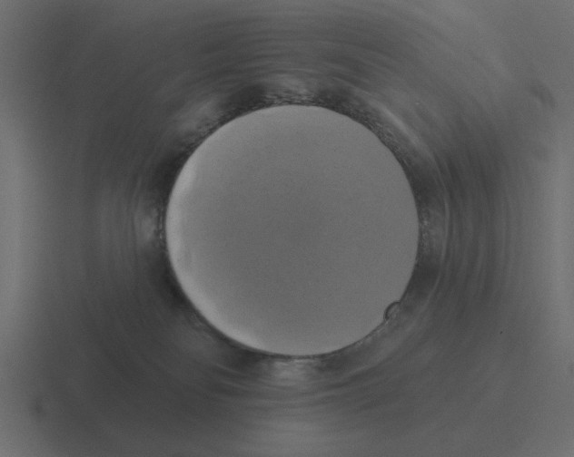 X0000116490134200912292113