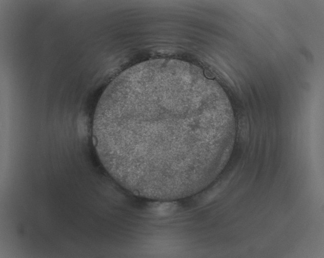 X0000116490135200912292113