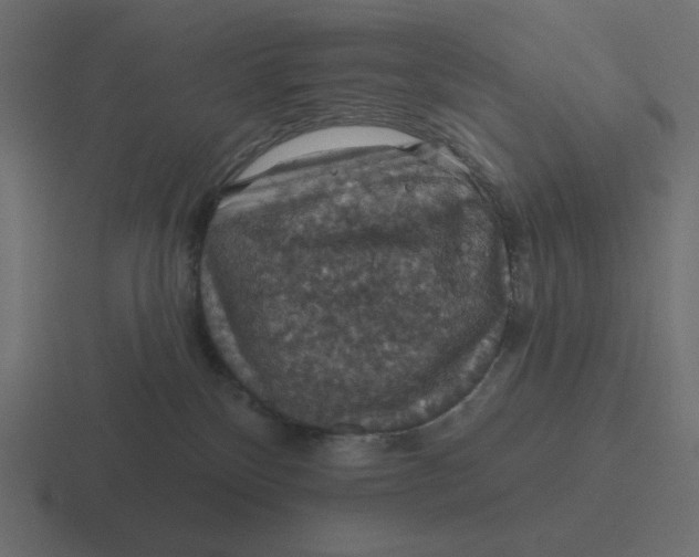 X0000116490136200912292113