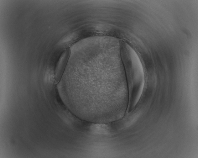 X0000116490137200912292113