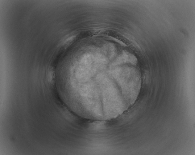 X0000116490138200912292113