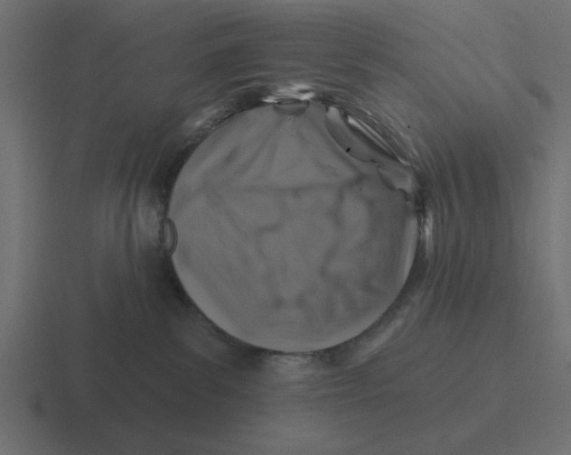 X0000116490139200912292113