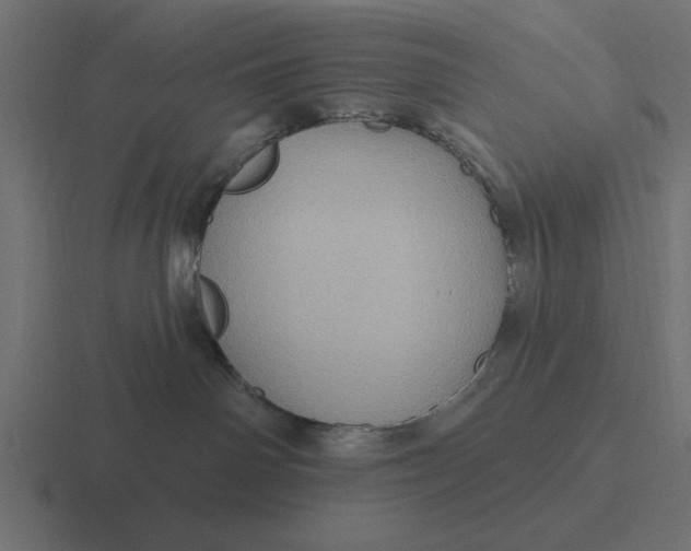 X0000116490142200912292113