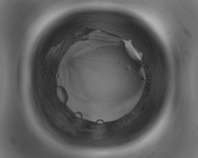 X0000116490143200912292113