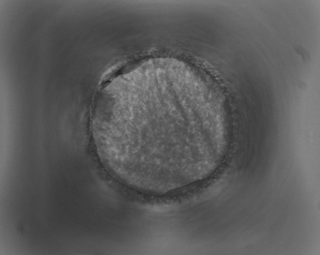 X0000116490144200912292113