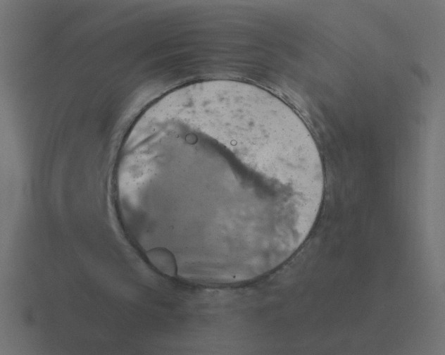 X0000116490145200912292112