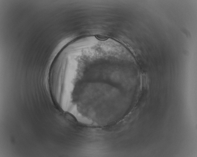 X0000116490147200912292112