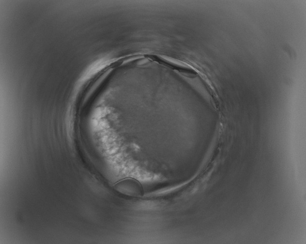 X0000116490149200912292112