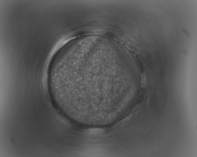 X0000116490150200912292112