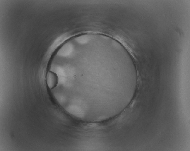 X0000116490151200912292112