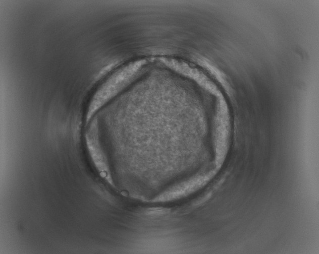 X0000116490153200912292112