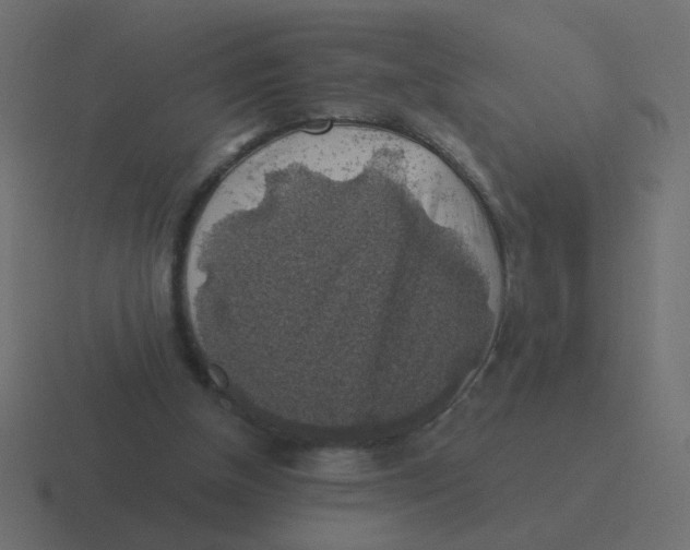 X0000116490154200912292112