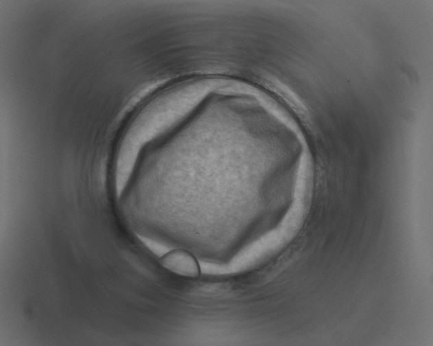 X0000116490155200912292112