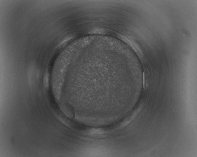 X0000116490157200912292112