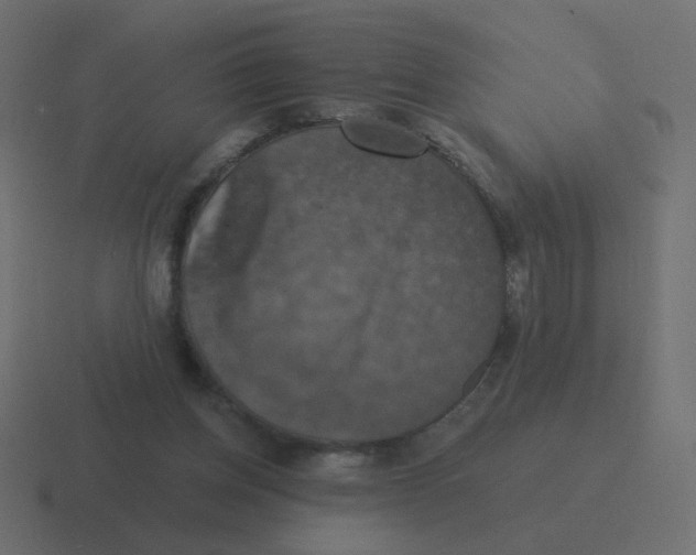 X0000116490158200912292112