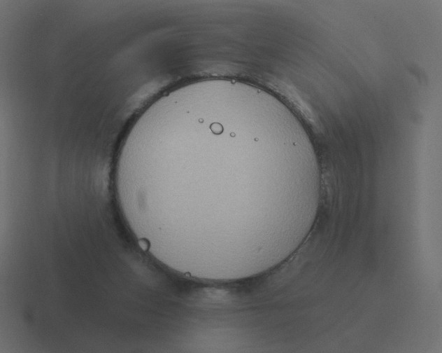 X0000116490159200912292112