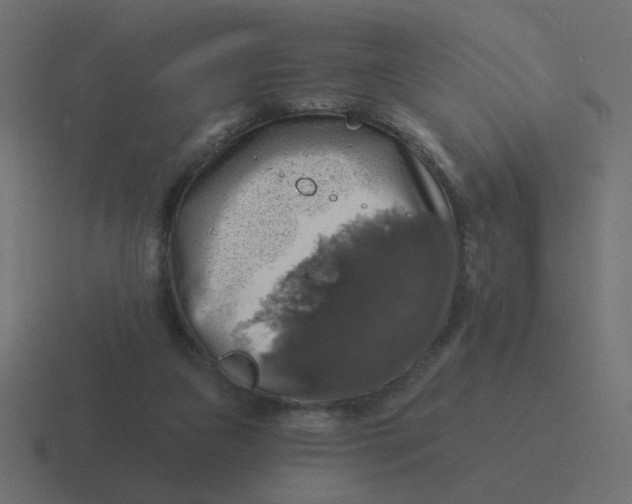 X0000116490161200912292112