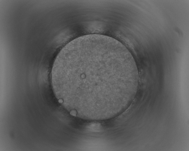 X0000116490162200912292112