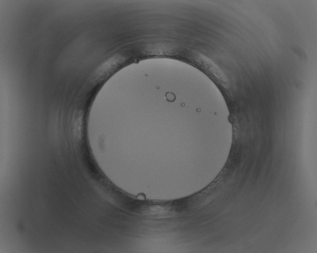 X0000116490163200912292112