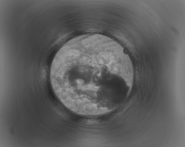 X0000116490165200912292112