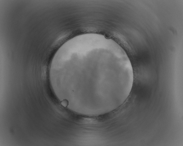 X0000116490167200912292112