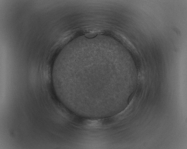 X0000116490170200912292112