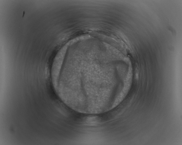 X0000116490173200912292112