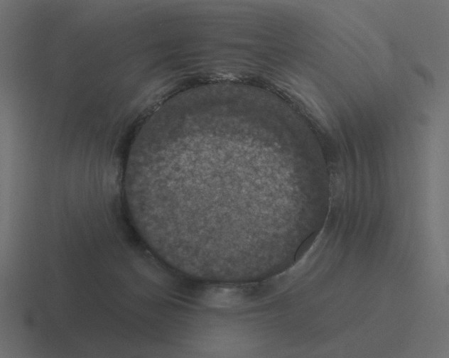 X0000116490174200912292112