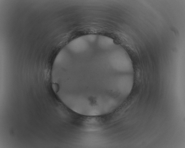 X0000116490177200912292112