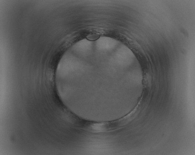 X0000116490178200912292112