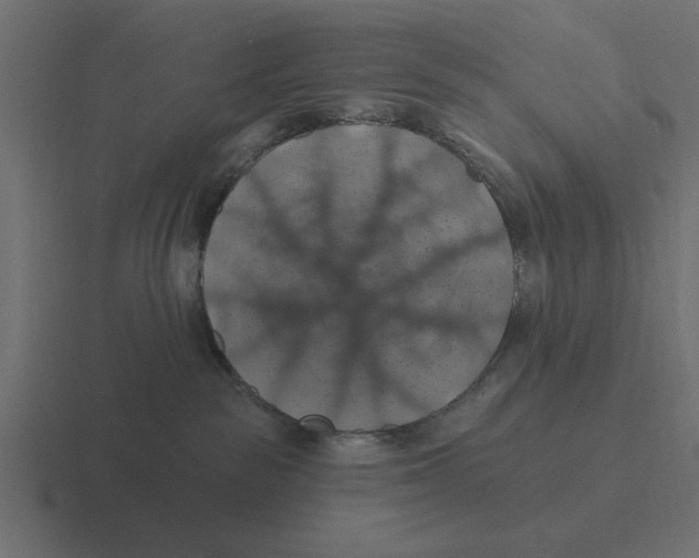 X0000116490189200912292112