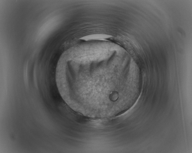 X0000116490190200912292112