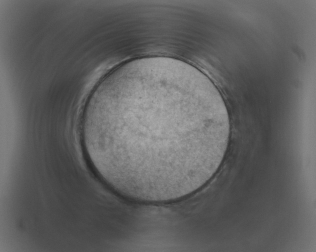 X0000116490193200912292112