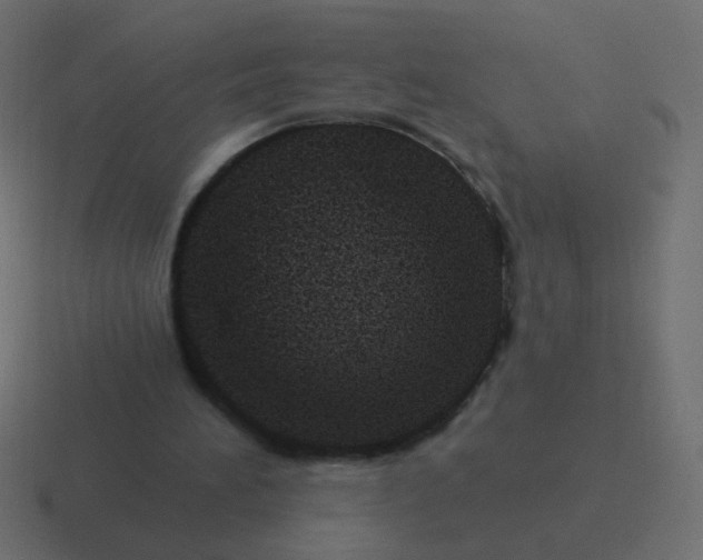 X0000116490196200912292112