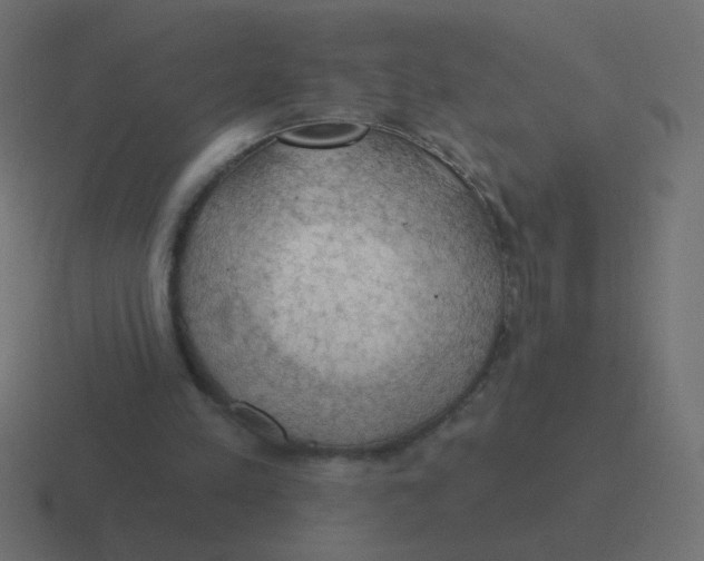 X0000116490197200912292112