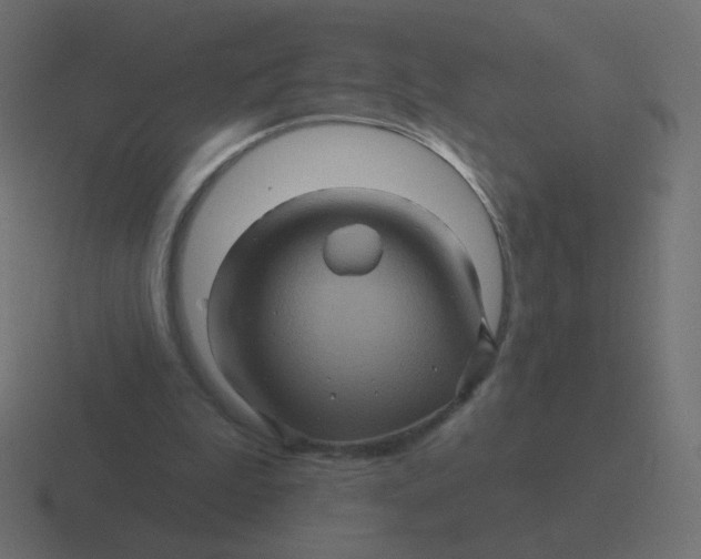 X0000116490199200912292112