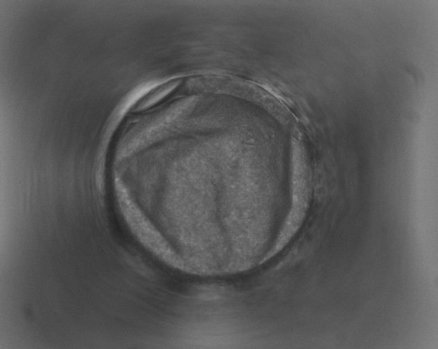 X0000116490200200912292112