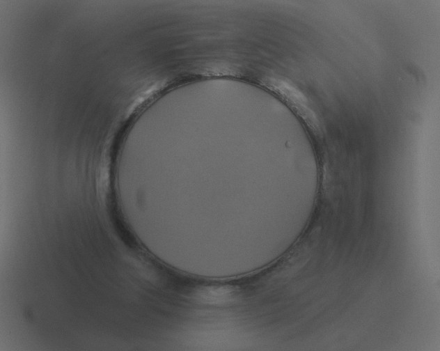 X0000116490202200912292112