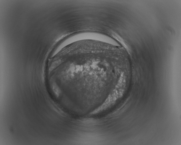 X0000116490203200912292112