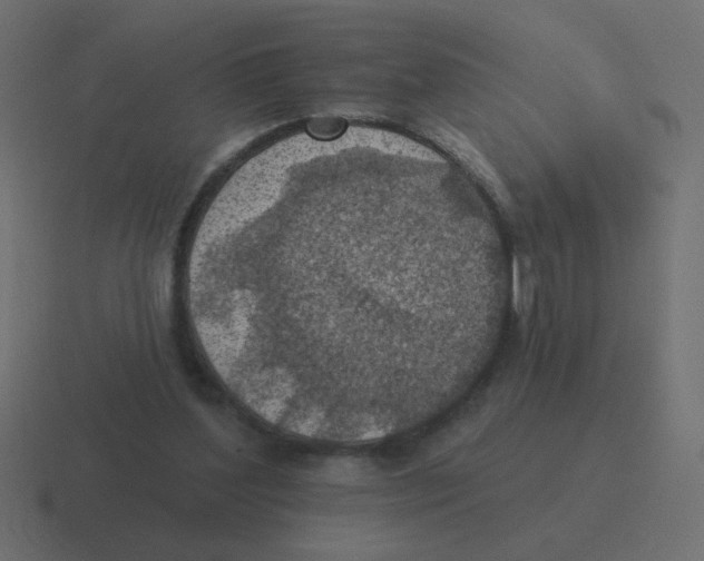 X0000116490204200912292112